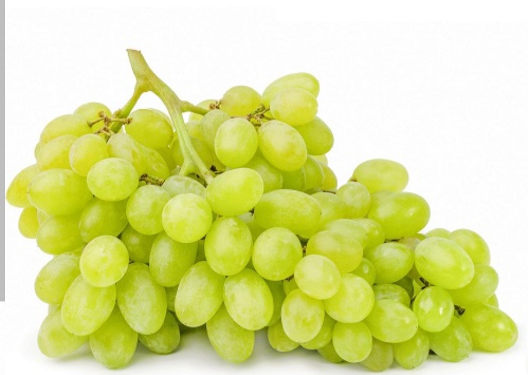 انگور