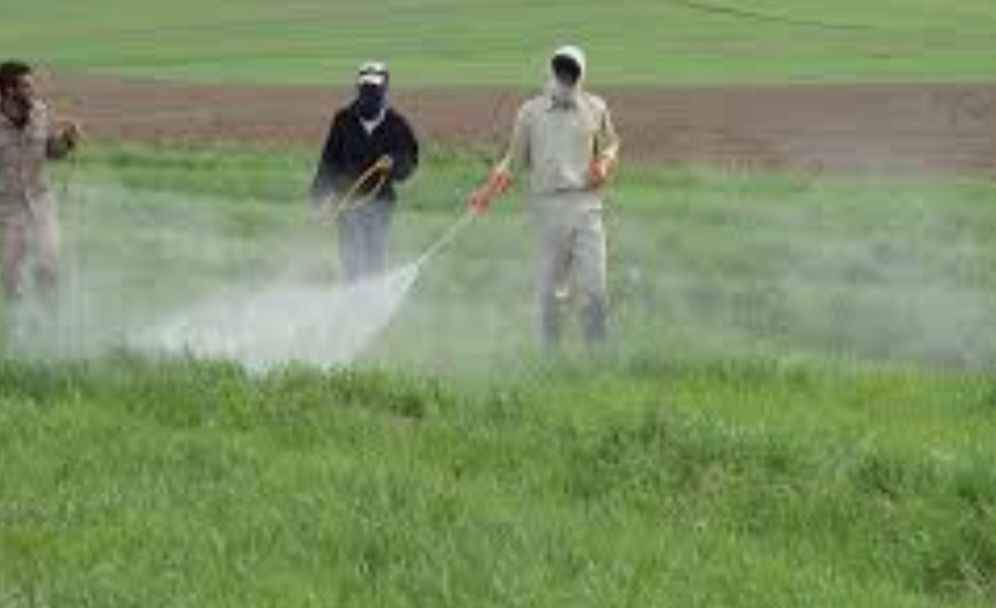 سم نئونیکوتینوئید