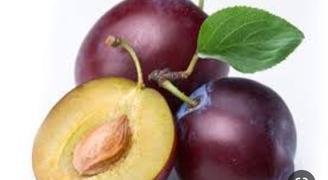 الو ترش جنگلی