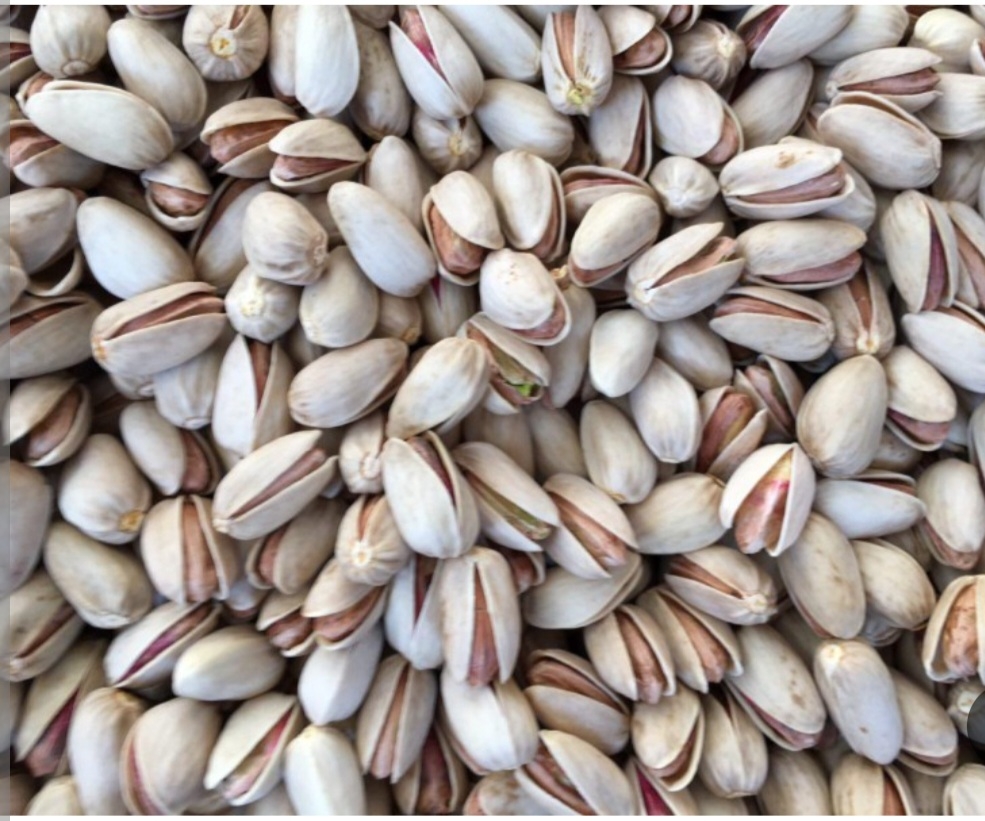 پسته بادامی