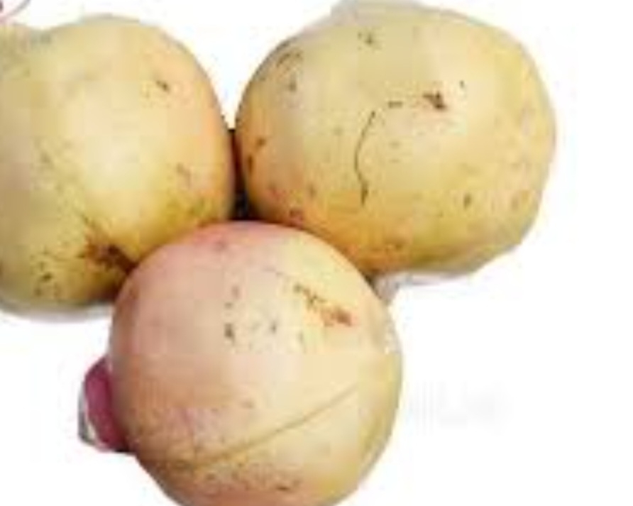 انار سفید یزد