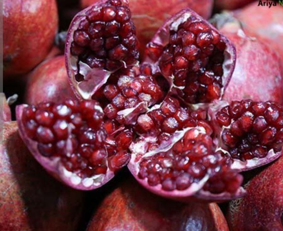 انار واندر فول