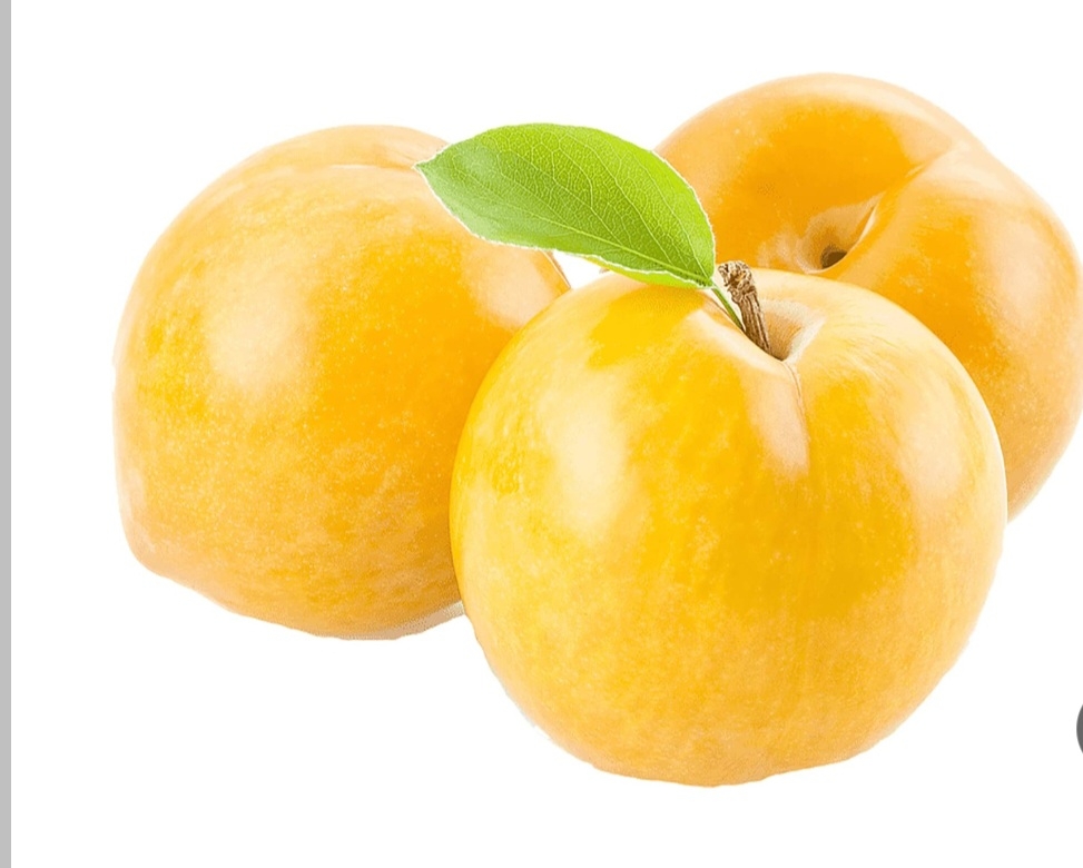 الو قطره طلا