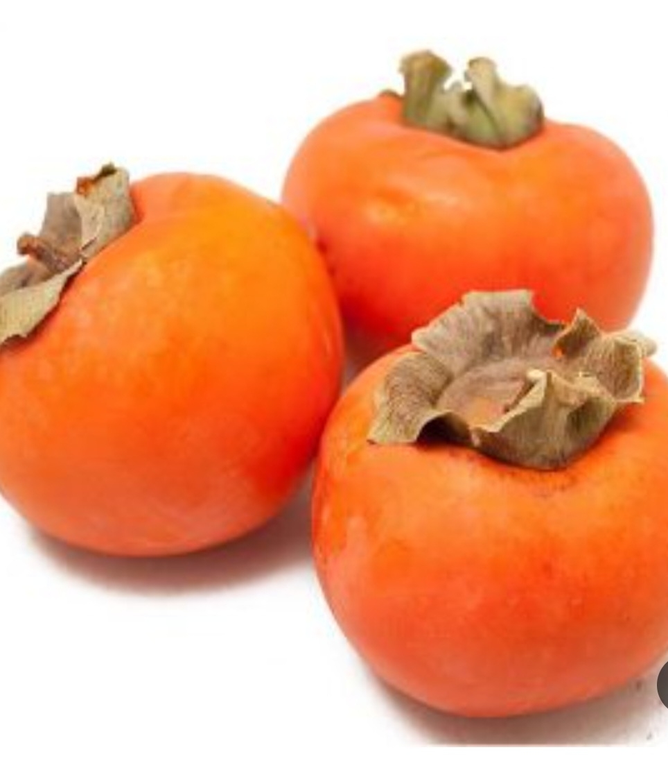 خرمالو ایورکا