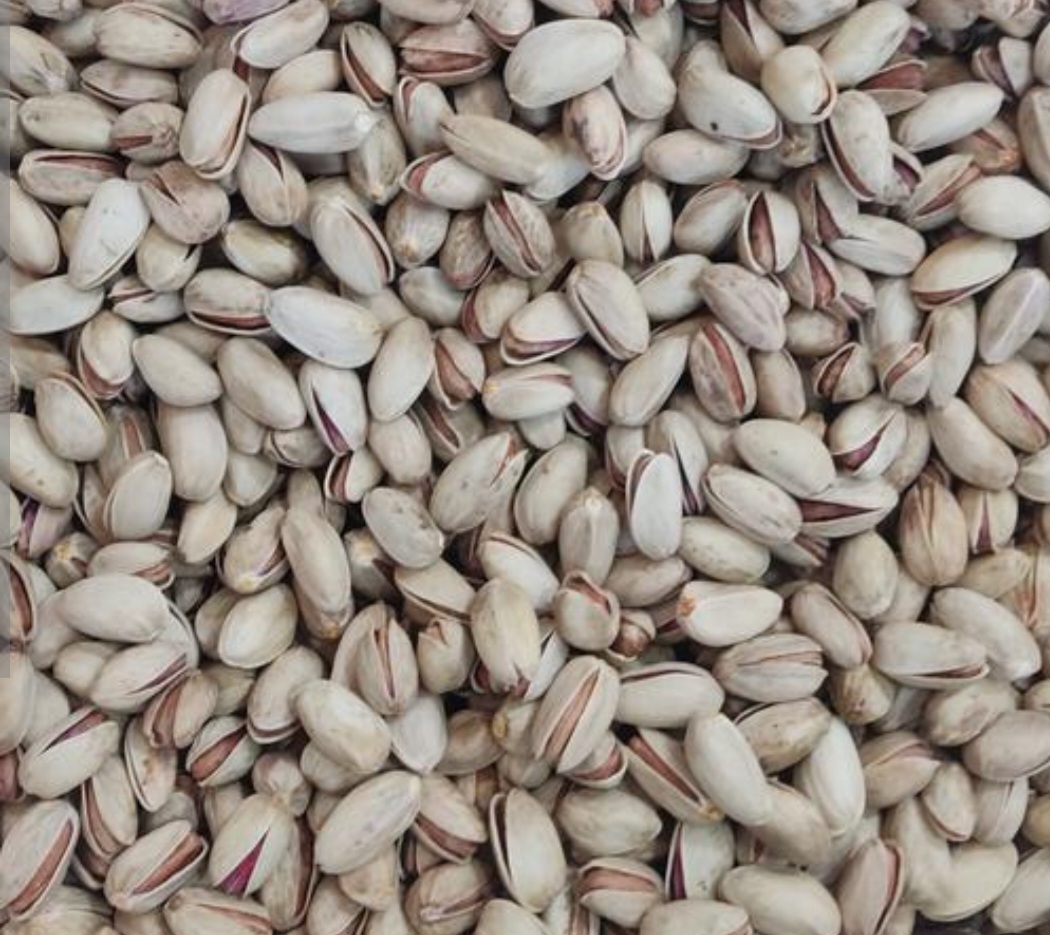 پسته شاه پسند