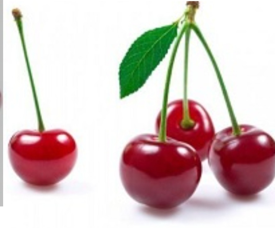 البالو مجارستانی