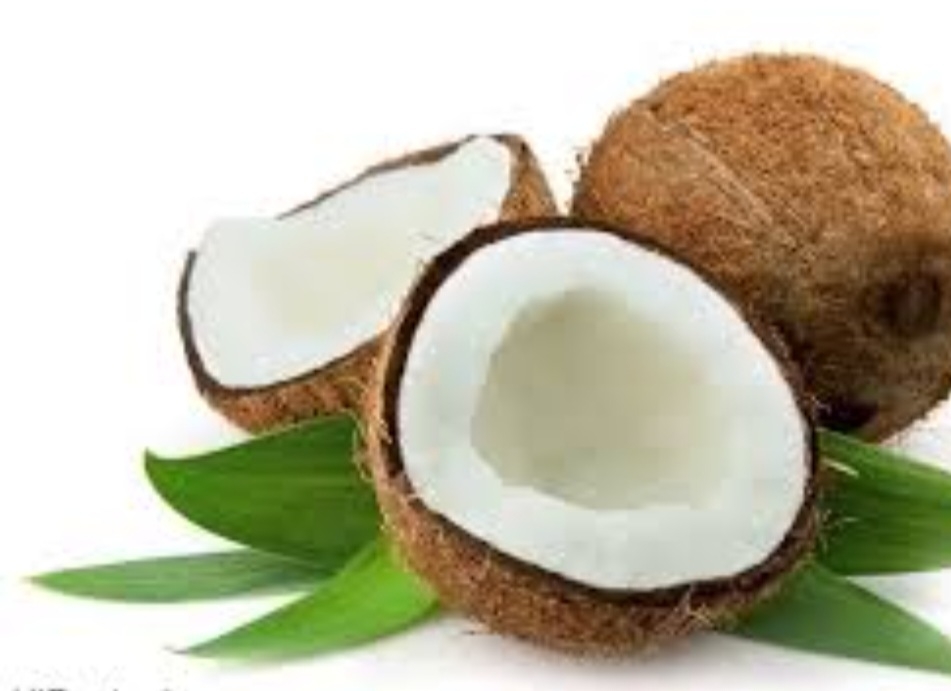 نارگیل بلند