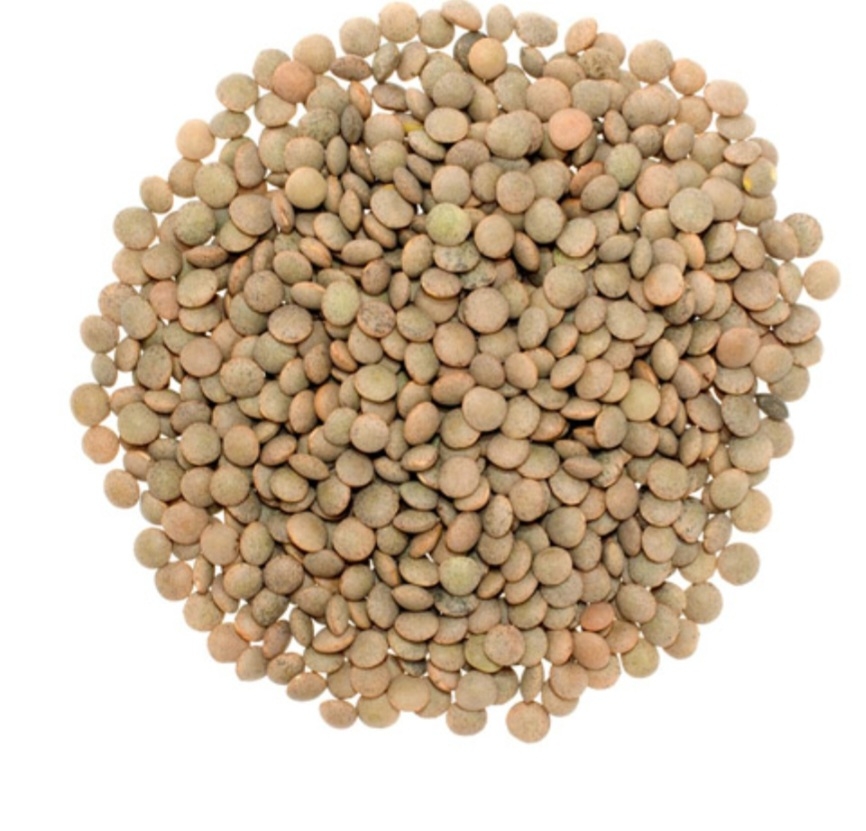 عدس گچساران