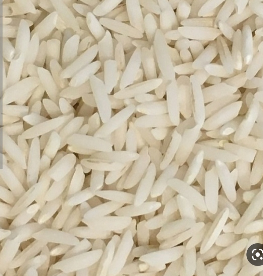 برنج دم سیاه