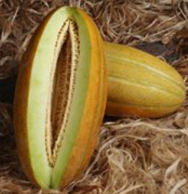 خربزه خاتون _۹۳