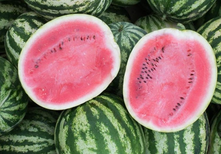 هندوانه کریمسون سوئیت