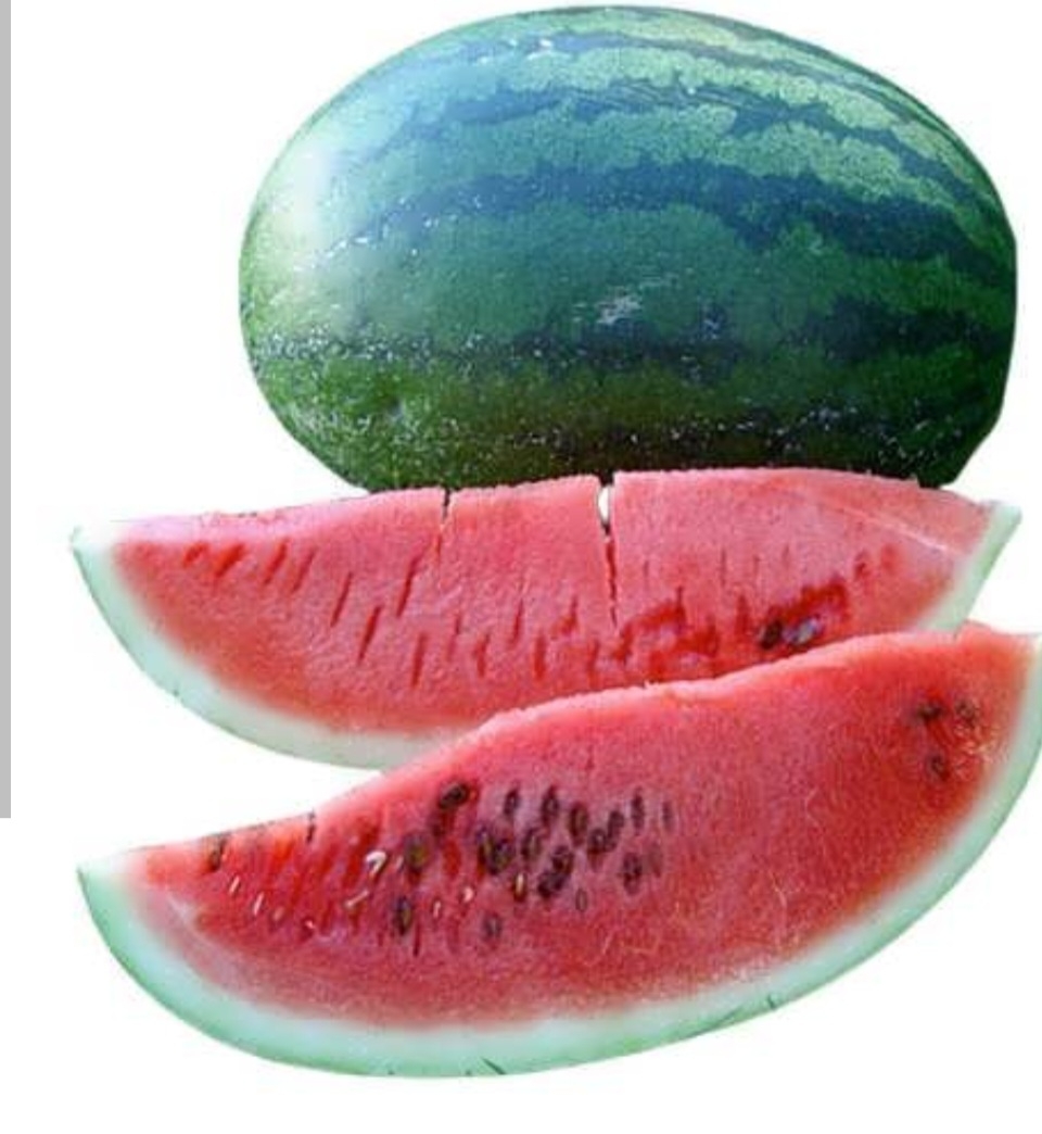 هندوانه کنگو