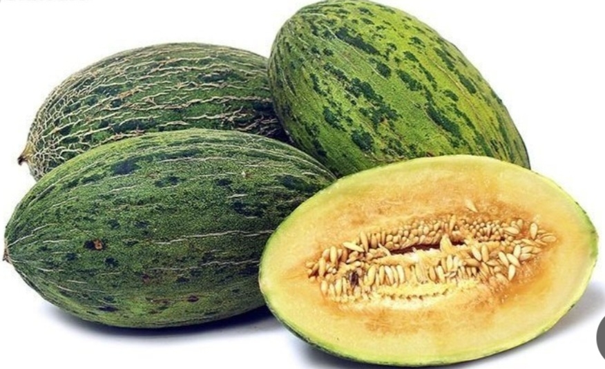 خربزه بابانوئل