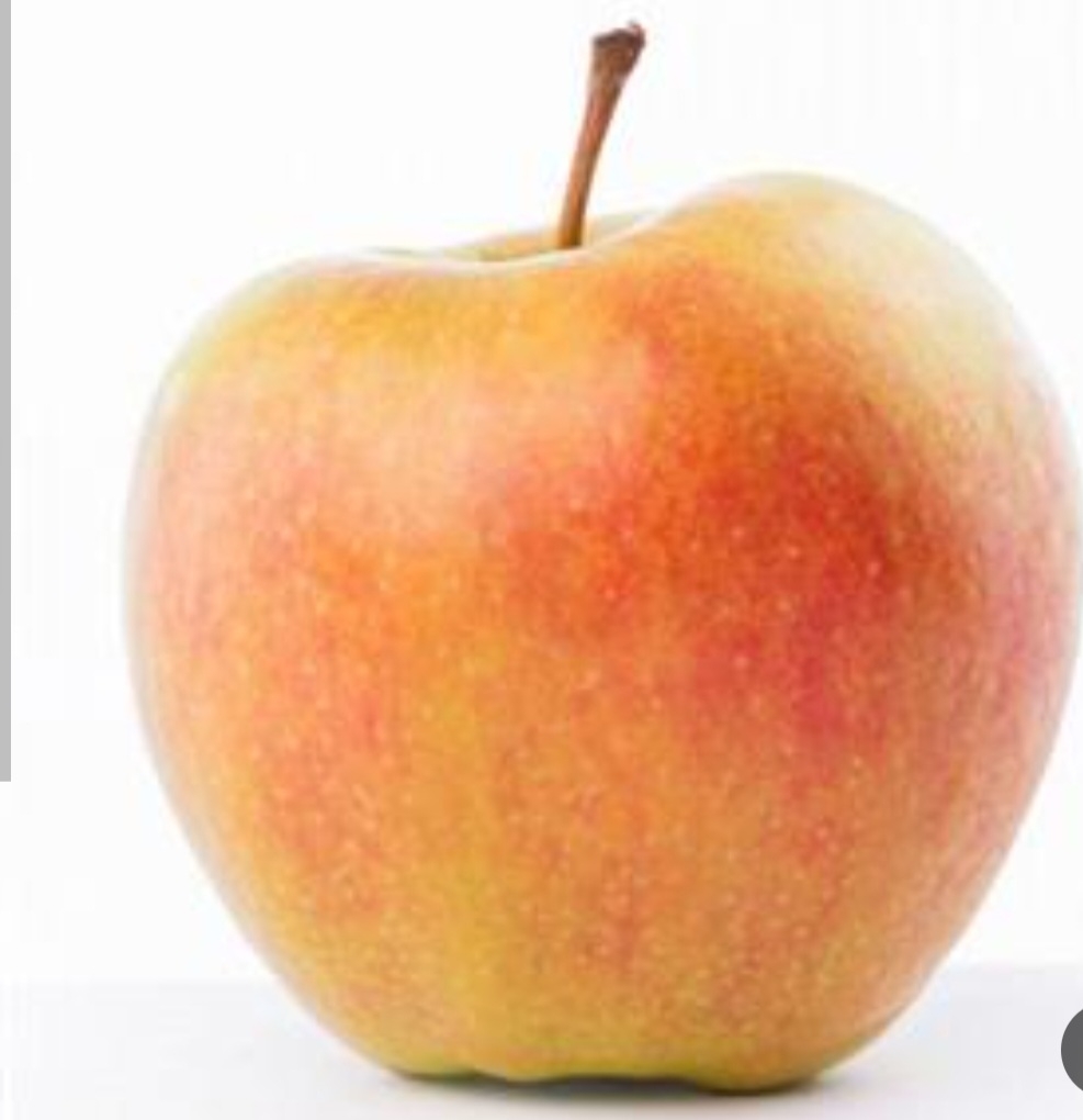 سیب کالکس اورنج
