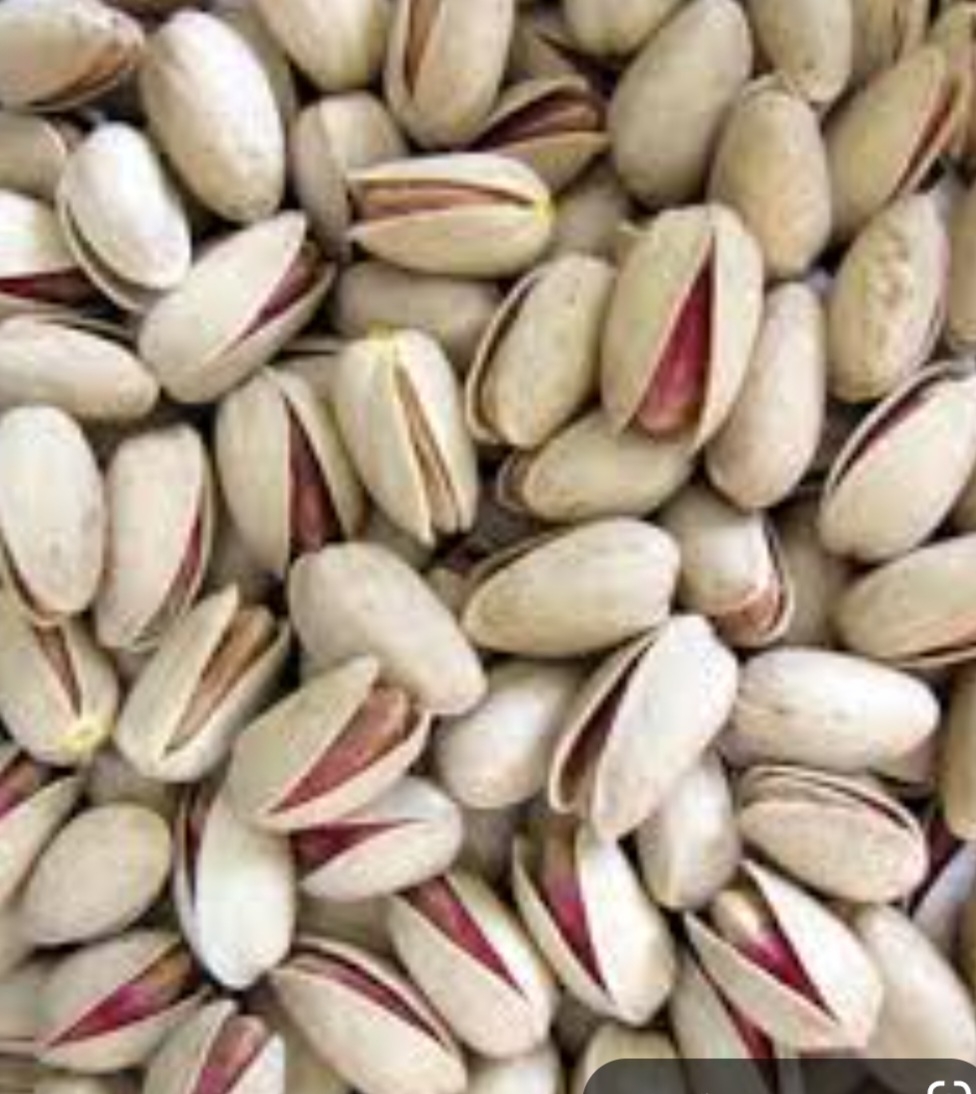 پسته خنجری دامغان