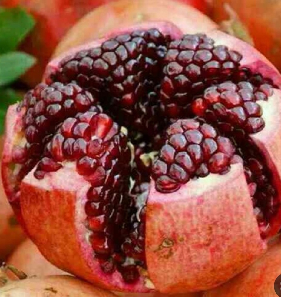 انار رباب ریز