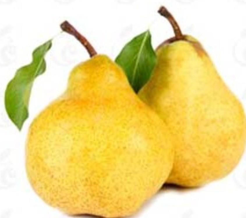 گلابی دم کج