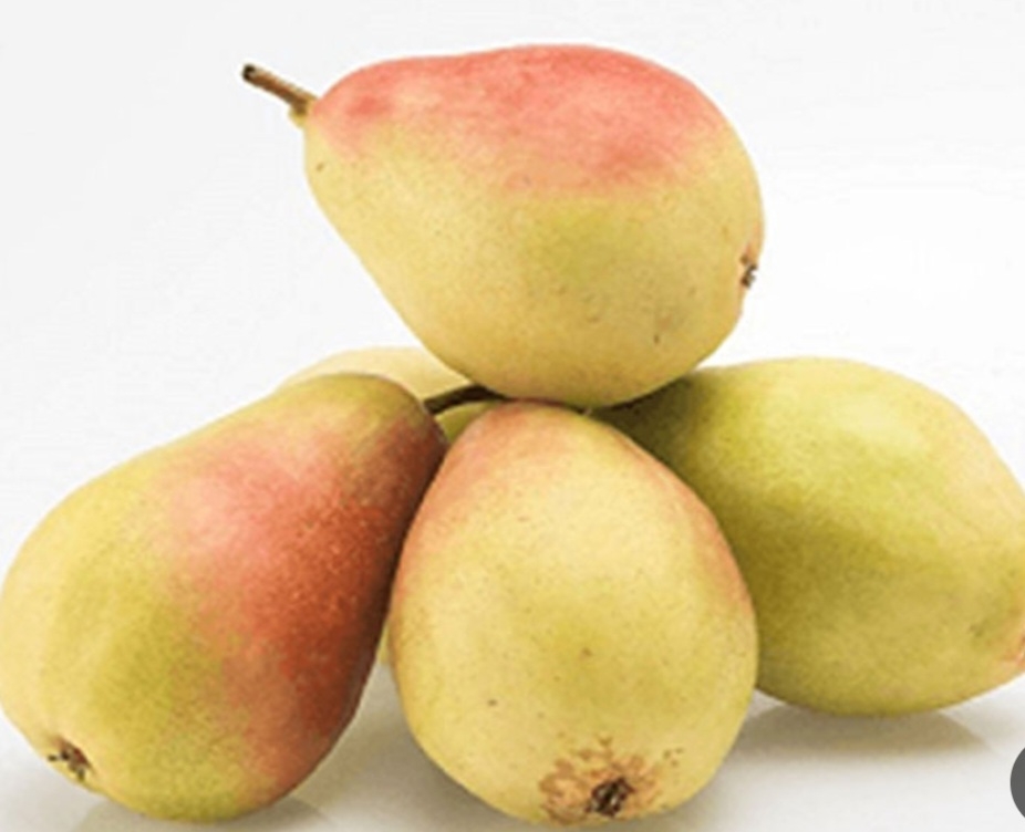 گلابی اسپادانا