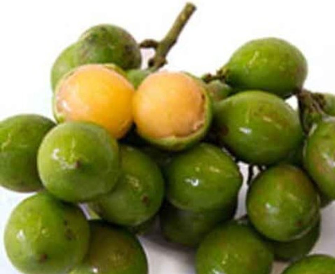 لیمو اسپانیایی