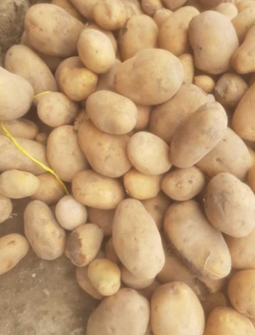 سیب زمینی جلی