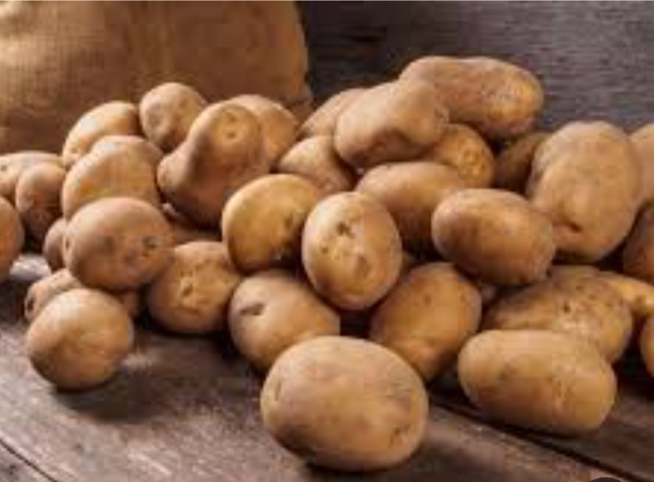 سیب زمینی ساتینا